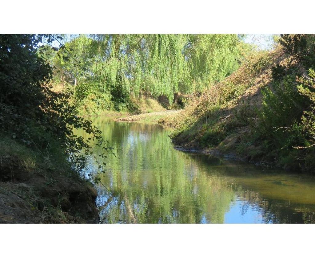 Parcelas en Venta Ñuble Cobquecura - Fotos de TALCAMAVIDA BUCHUPUREO