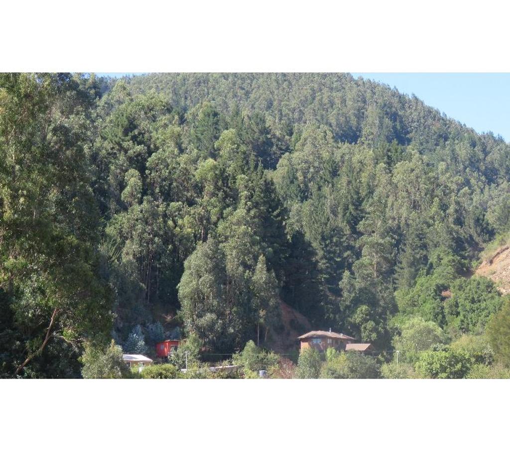 Parcelas en Venta Ñuble Cobquecura - Fotos de TALCAMAVIDA BUCHUPUREO