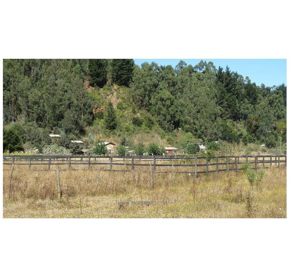 Parcelas en Venta Ñuble Cobquecura - Fotos de TALCAMAVIDA BUCHUPUREO