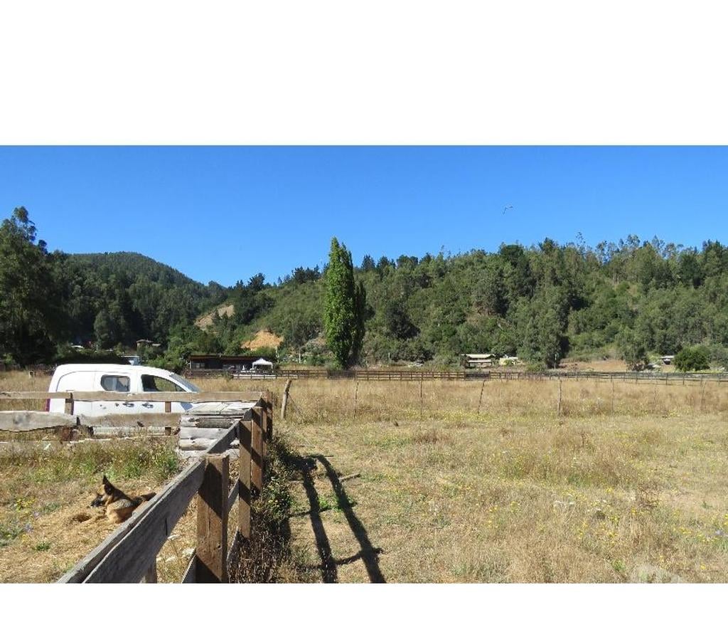 Parcelas en Venta Ñuble Cobquecura - Fotos de TALCAMAVIDA BUCHUPUREO