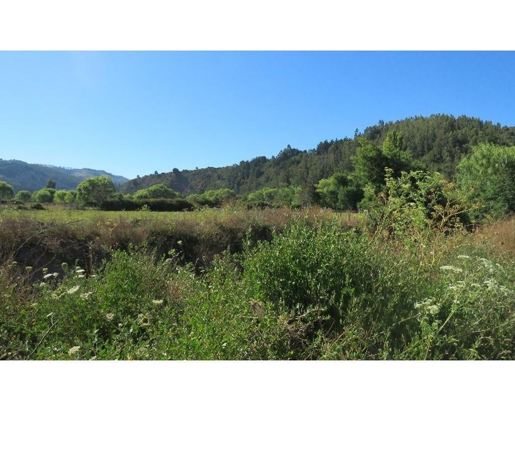 Parcelas en Venta Ñuble Cobquecura - Fotos de TALCAMAVIDA BUCHUPUREO