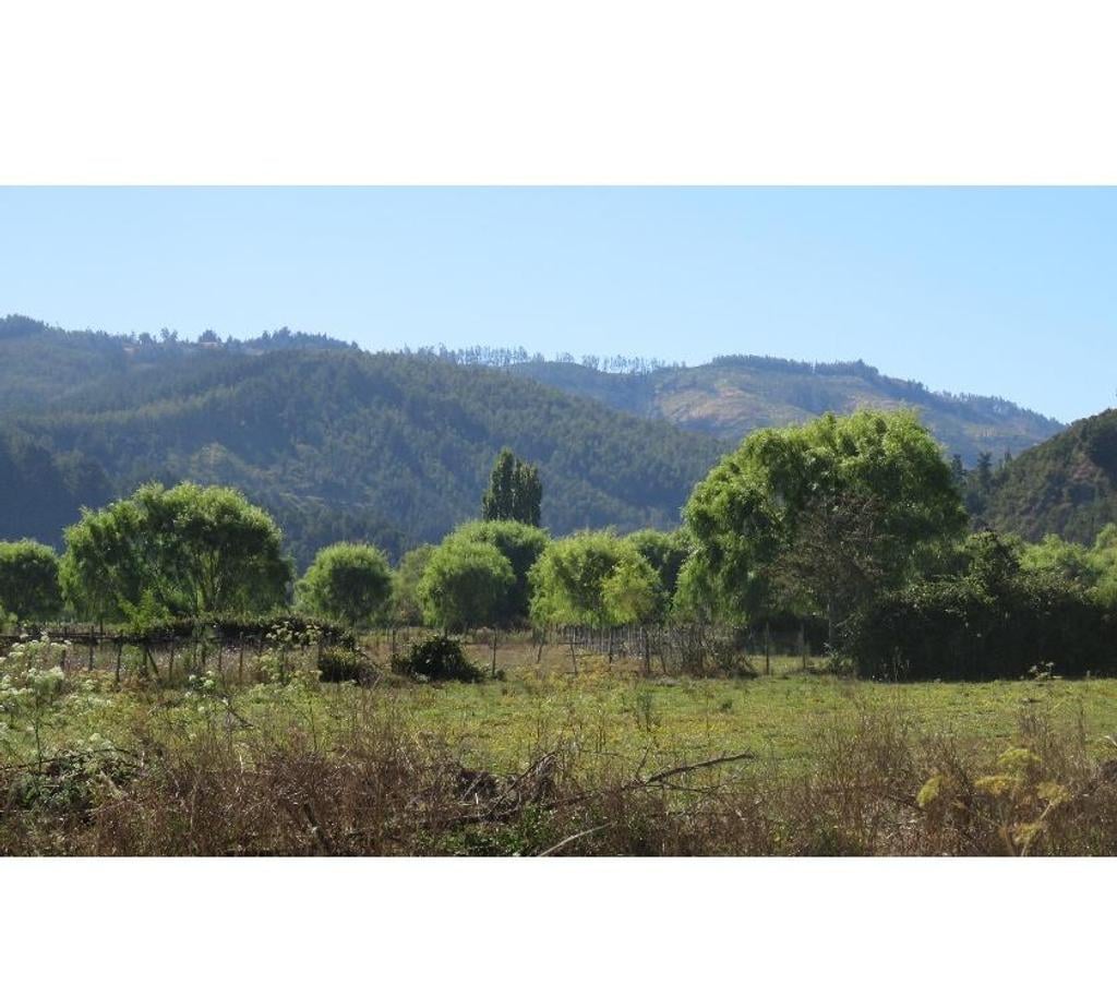 Parcelas en Venta Ñuble Cobquecura - Fotos de TALCAMAVIDA BUCHUPUREO