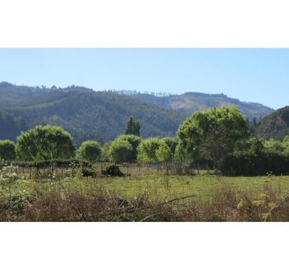Parcelas en Venta Cobquecura Ñuble - Fotos de TALCAMAVIDA BUCHUPUREO