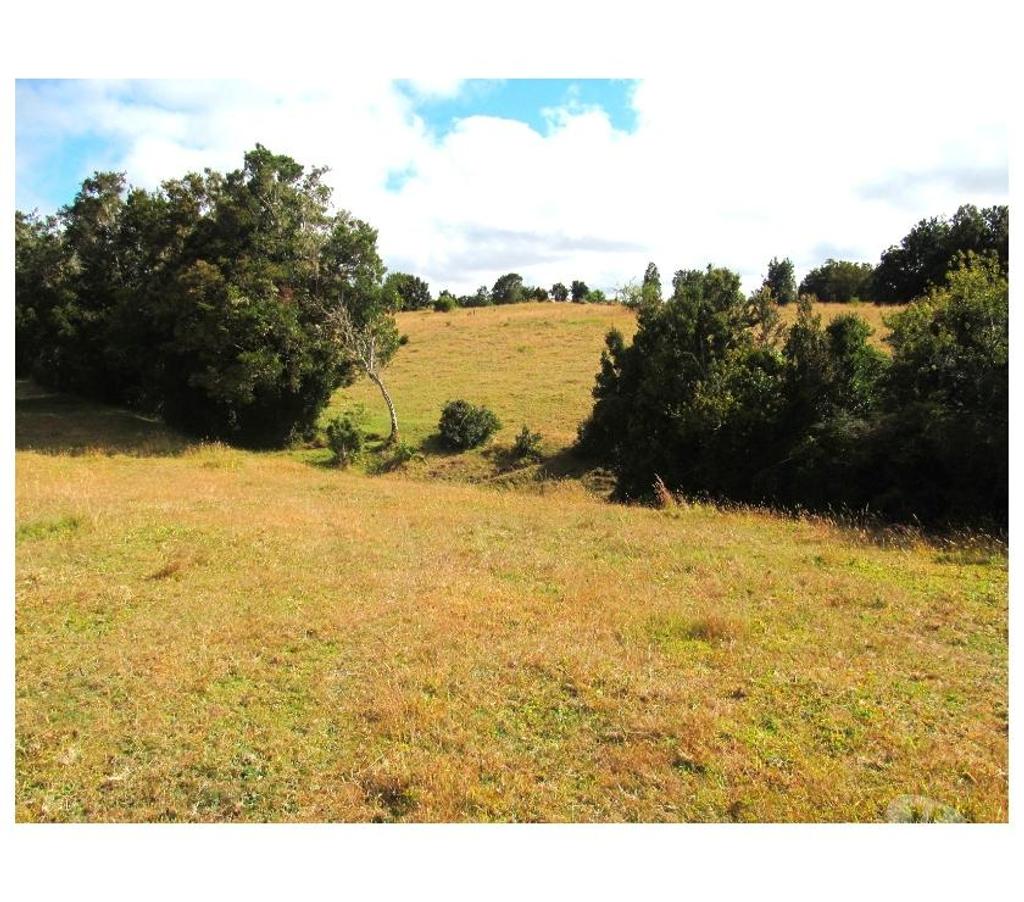 Venta de Haciendas Llanquihue Calbuco - Fotos de Hermosa Finca de 8,7 Has