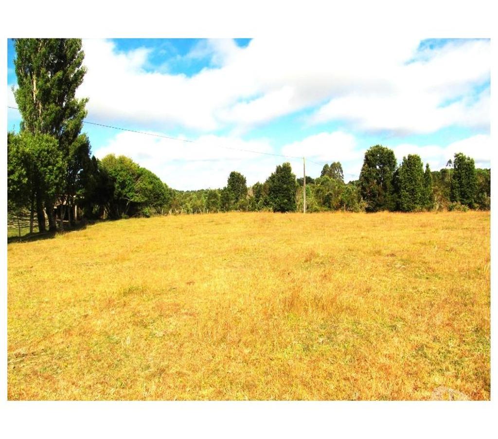 Venta de Haciendas Llanquihue Calbuco - Fotos de Hermosa Finca de 8,7 Has