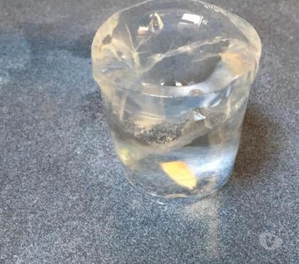 Varios Temuco Cautín - Fotos de FABRICA DE HIELO