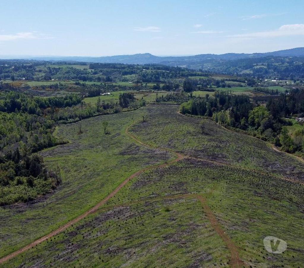 Venta de Haciendas Cautín Temuco - Fotos de Desarrolla tu proyecto en un campo subdividido en 135 lotes