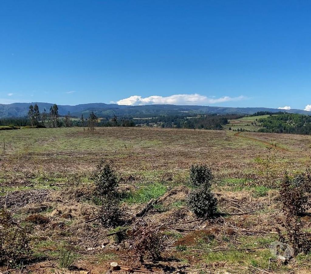 Venta de Haciendas Cautín Temuco - Fotos de Desarrolla tu proyecto en un campo subdividido en 135 lotes