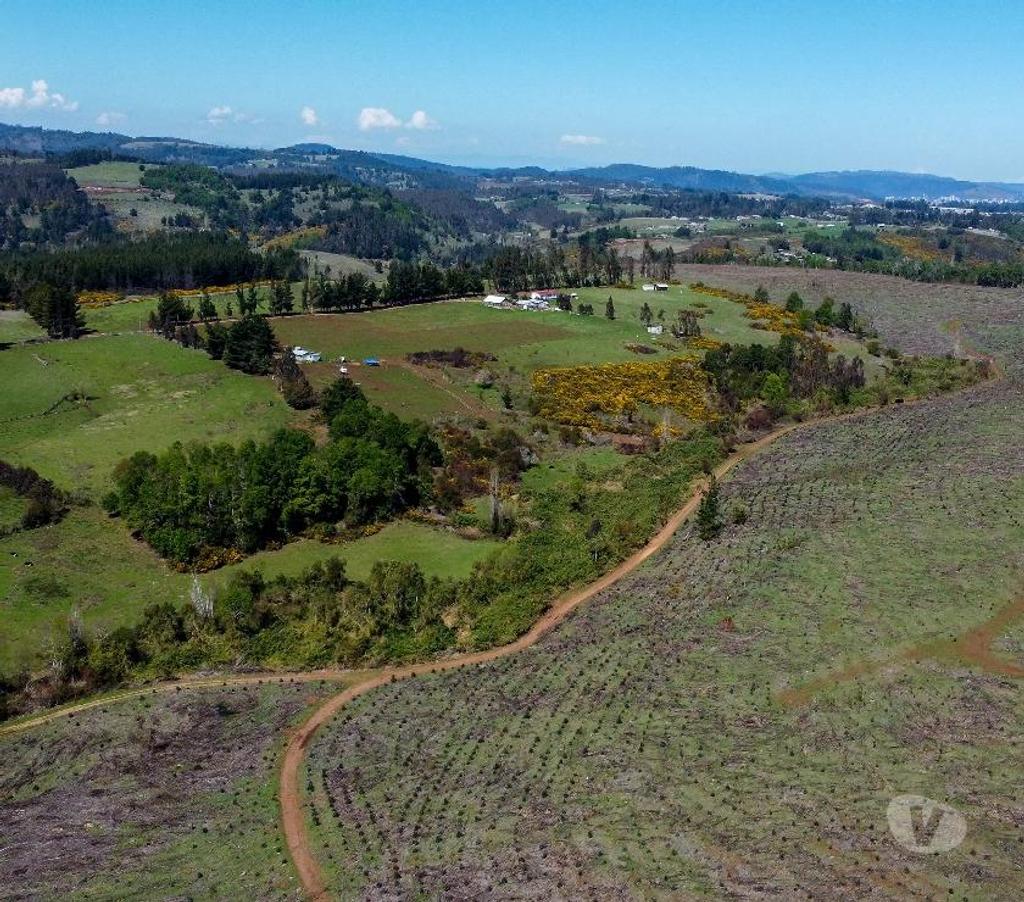 Venta de Haciendas Cautín Temuco - Fotos de Desarrolla tu proyecto en un campo subdividido en 135 lotes