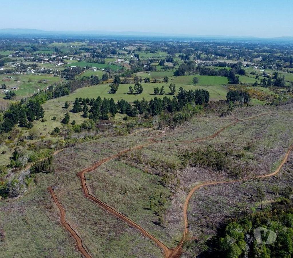 Venta de Haciendas Cautín Temuco - Fotos de Desarrolla tu proyecto en un campo subdividido en 135 lotes