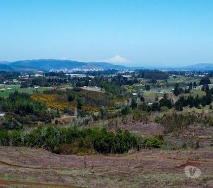 Campos-Fundos-Haciendas Temuco Cautín - Fotos de Desarrolla tu proyecto en un campo subdividido en 135 lotes