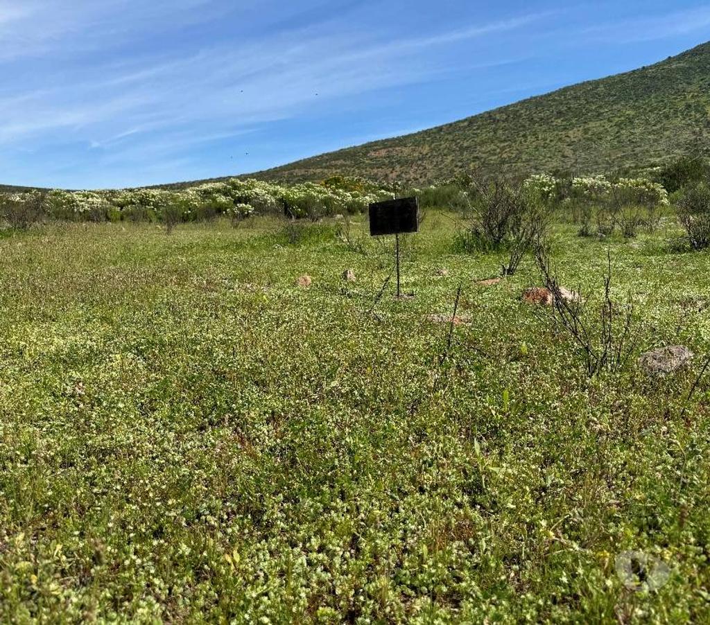 Parcelas en Venta Elqui Conquimbo - Fotos de Terrenos en apacible lugar.