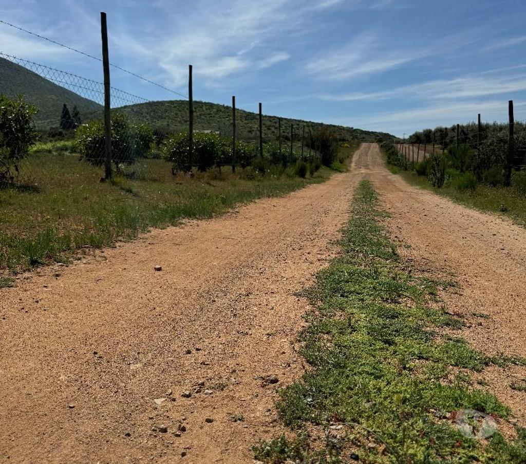 Parcelas en Venta Elqui Conquimbo - Fotos de Terrenos en apacible lugar.