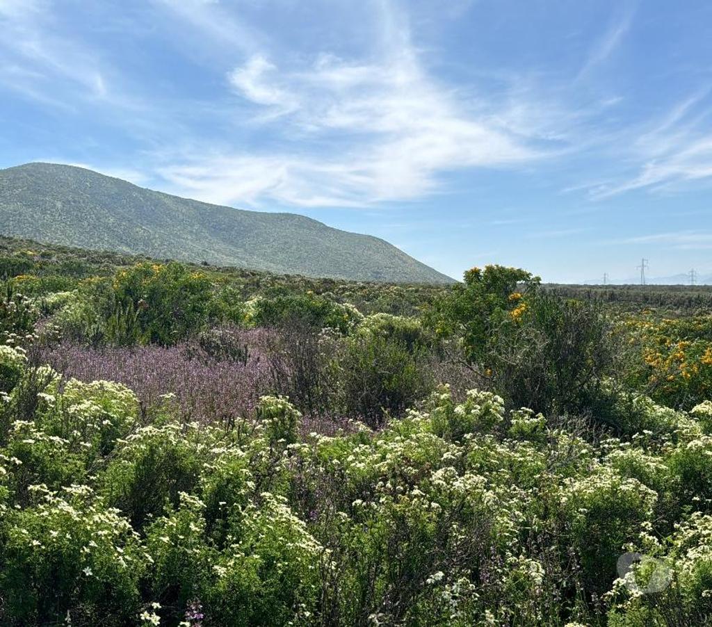 Parcelas en Venta Elqui Conquimbo - Fotos de Terrenos en apacible lugar.