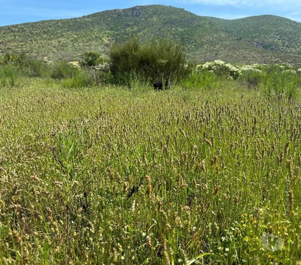Parcelas en Venta Elqui Conquimbo - Fotos de Vive en armonia con la Naturaleza