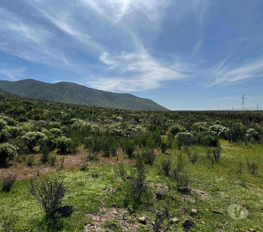Parcelas en Venta Elqui Conquimbo - Fotos de Vive en armonia con la Naturaleza