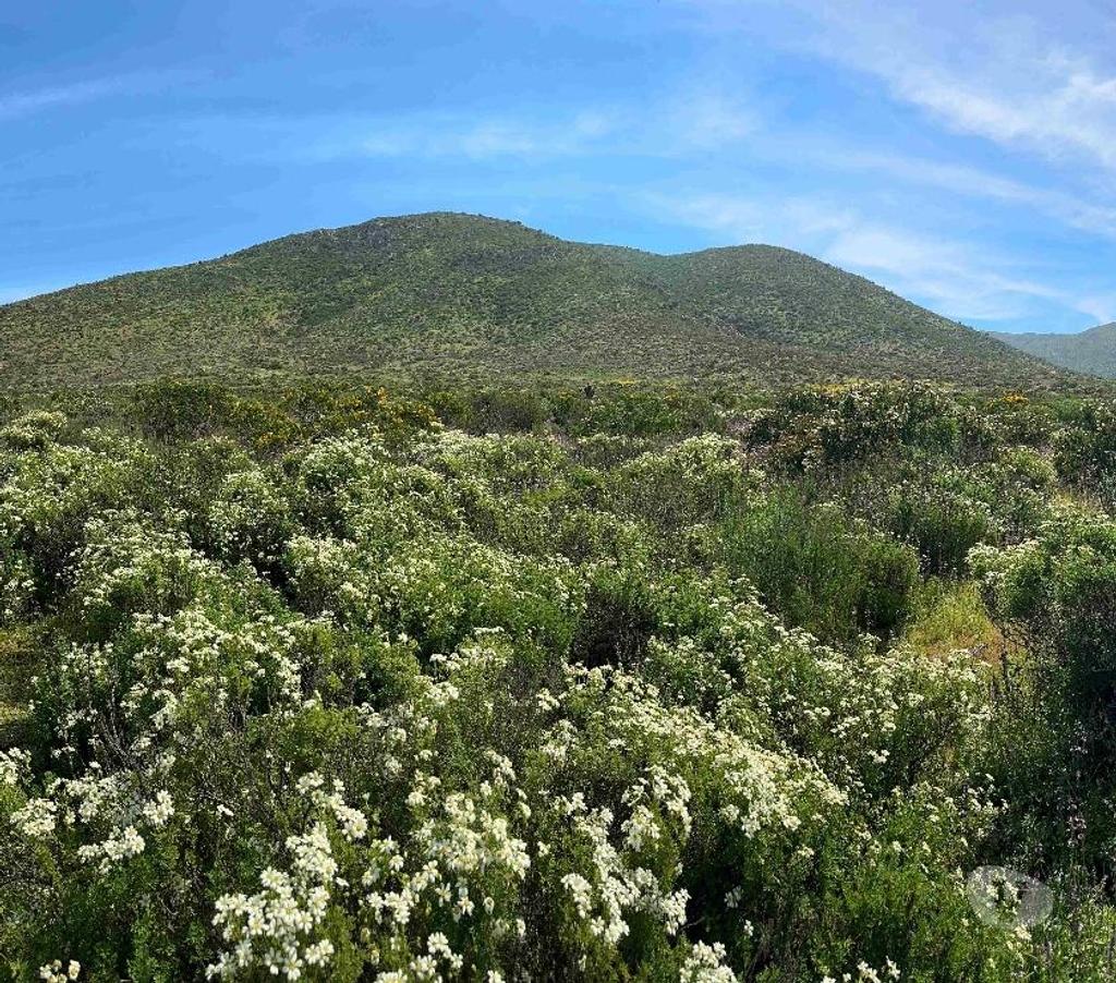 Parcelas en Venta Elqui Conquimbo - Fotos de Vive en armonia con la Naturaleza