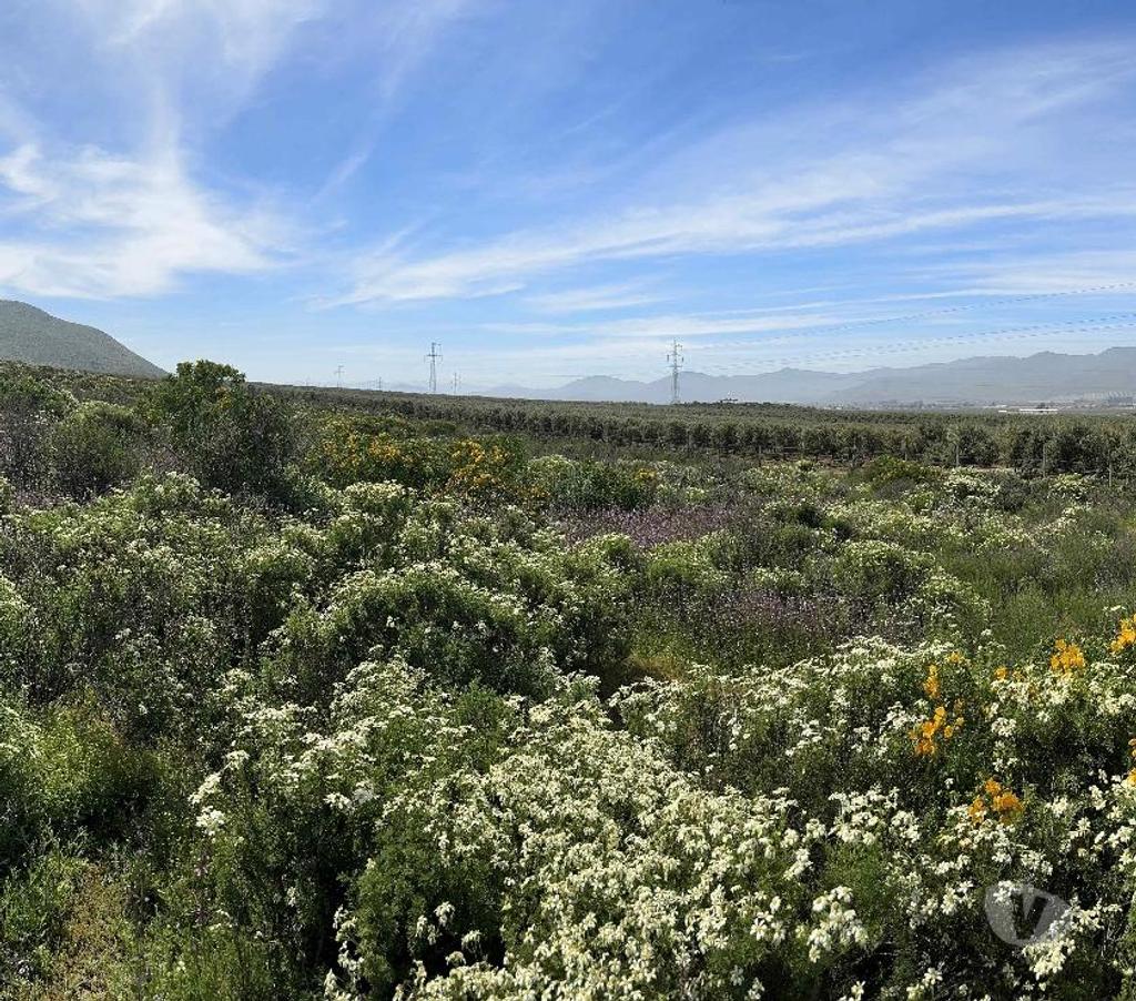 Parcelas en Venta Elqui Conquimbo - Fotos de Vive en armonia con la Naturaleza