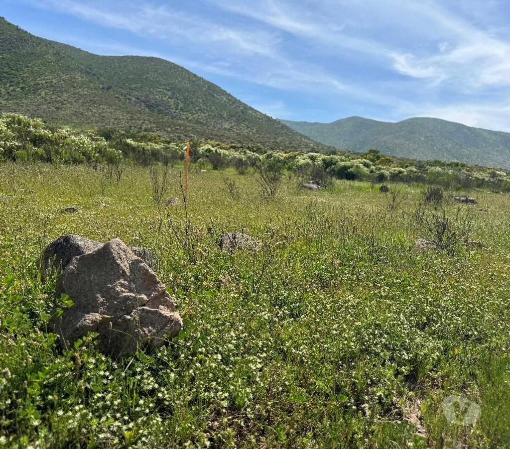 Parcelas en Venta Elqui Conquimbo - Fotos de Vive en armonia con la Naturaleza