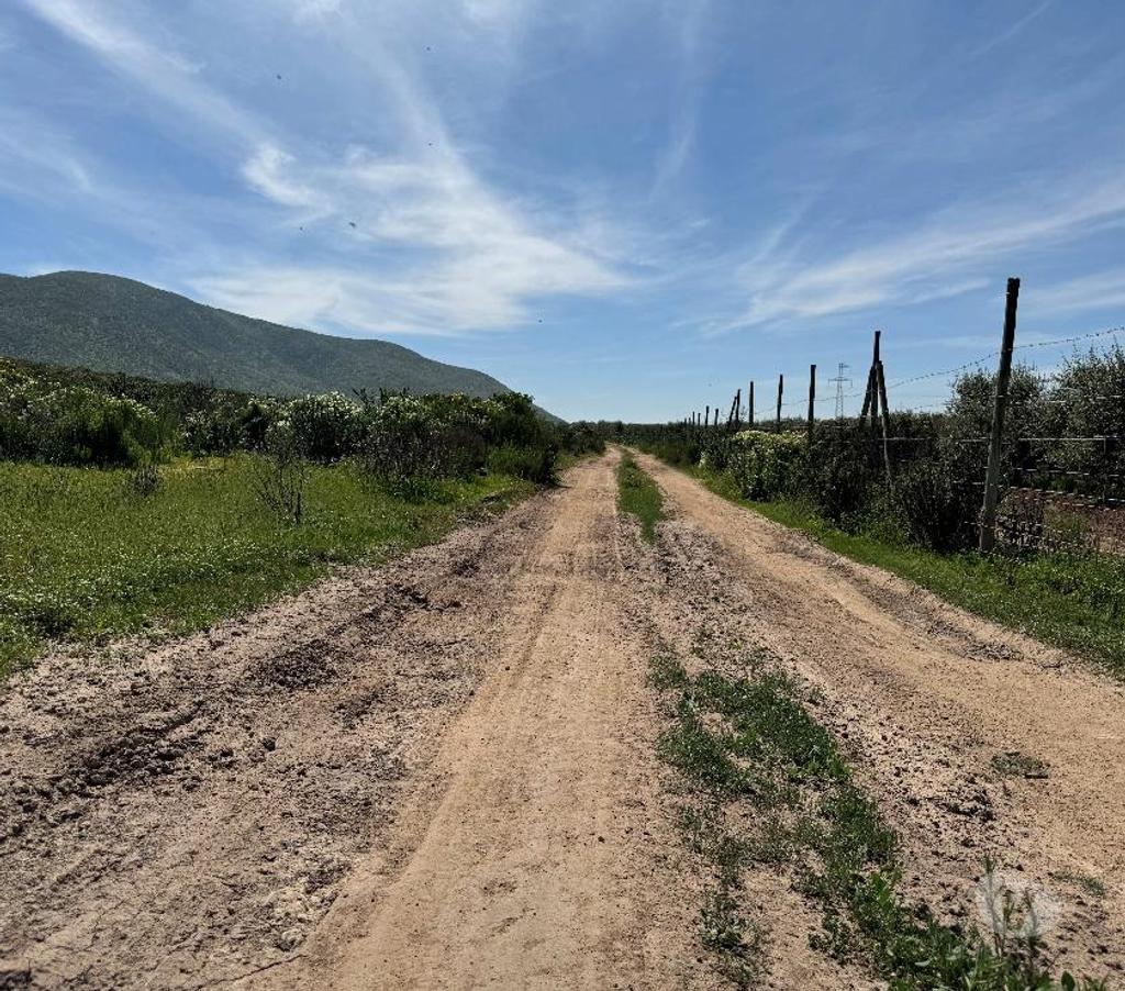 Parcelas en Venta Elqui Conquimbo - Fotos de Vive en armonia con la Naturaleza