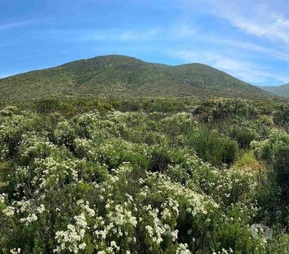Parcelas en Venta Conquimbo Elqui - Fotos de Vive en armonia con la Naturaleza