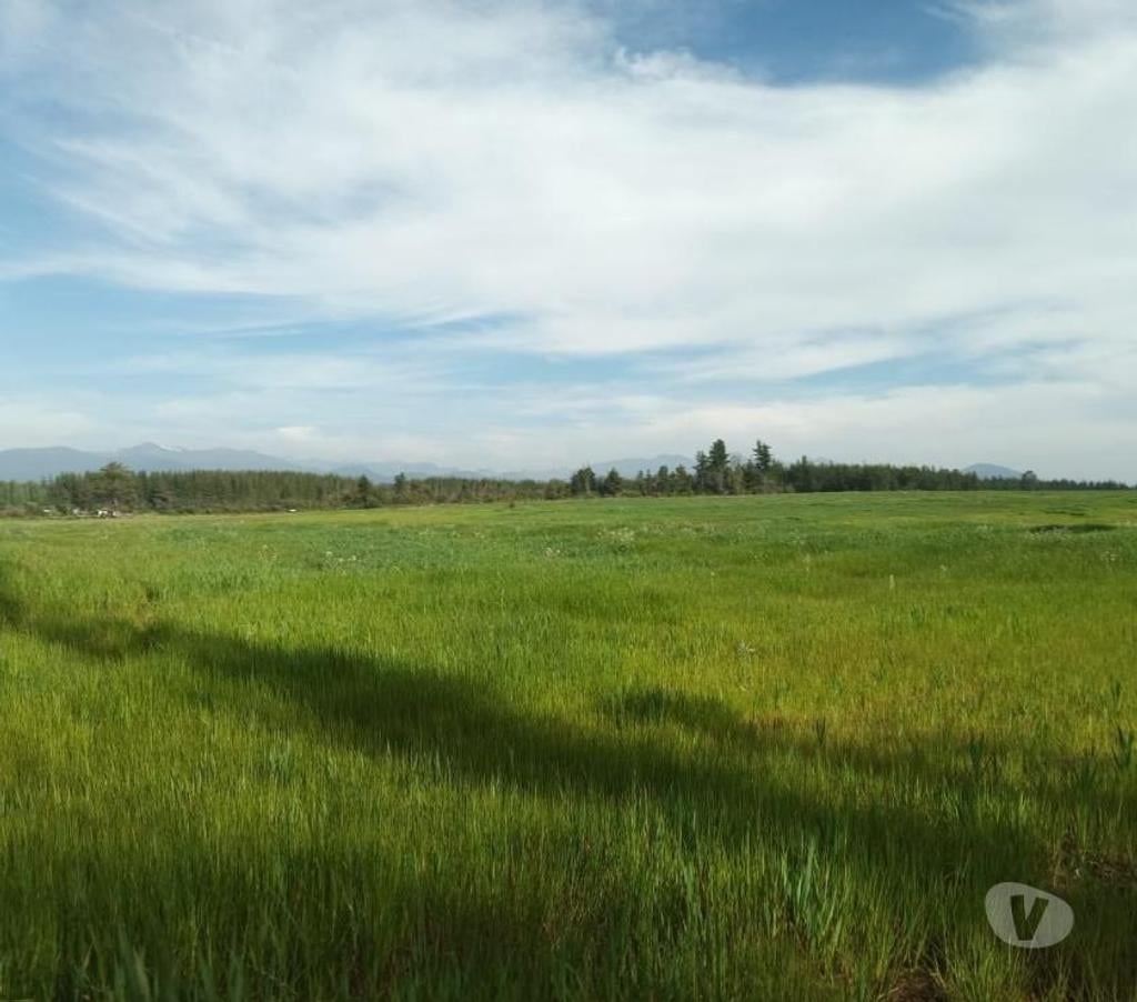 Venta de Haciendas Linares Parral - Fotos de Campo de 303 hás con Agua en Parral. Apto para Todo Uso