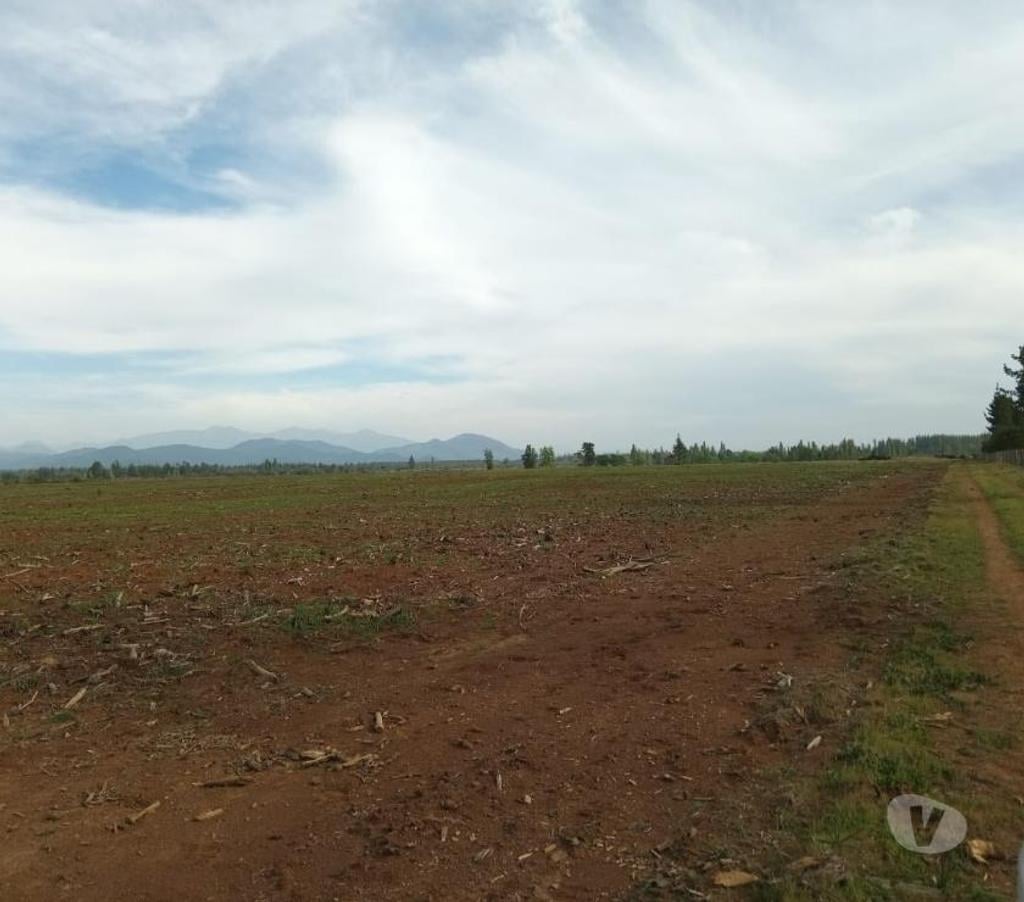 Venta de Haciendas Linares Parral - Fotos de Campo de 303 hás con Agua en Parral. Apto para Todo Uso