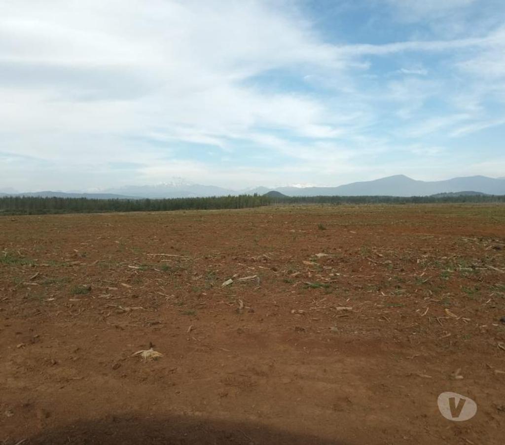 Venta de Haciendas Linares Parral - Fotos de Campo de 303 hás con Agua en Parral. Apto para Todo Uso
