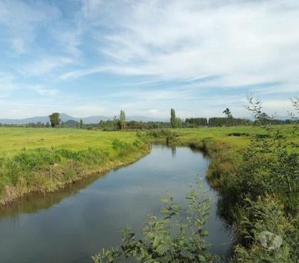 Venta de Fundos Parral Linares - Fotos de Campo de 303 hás con Agua en Parral. Apto para Todo Uso