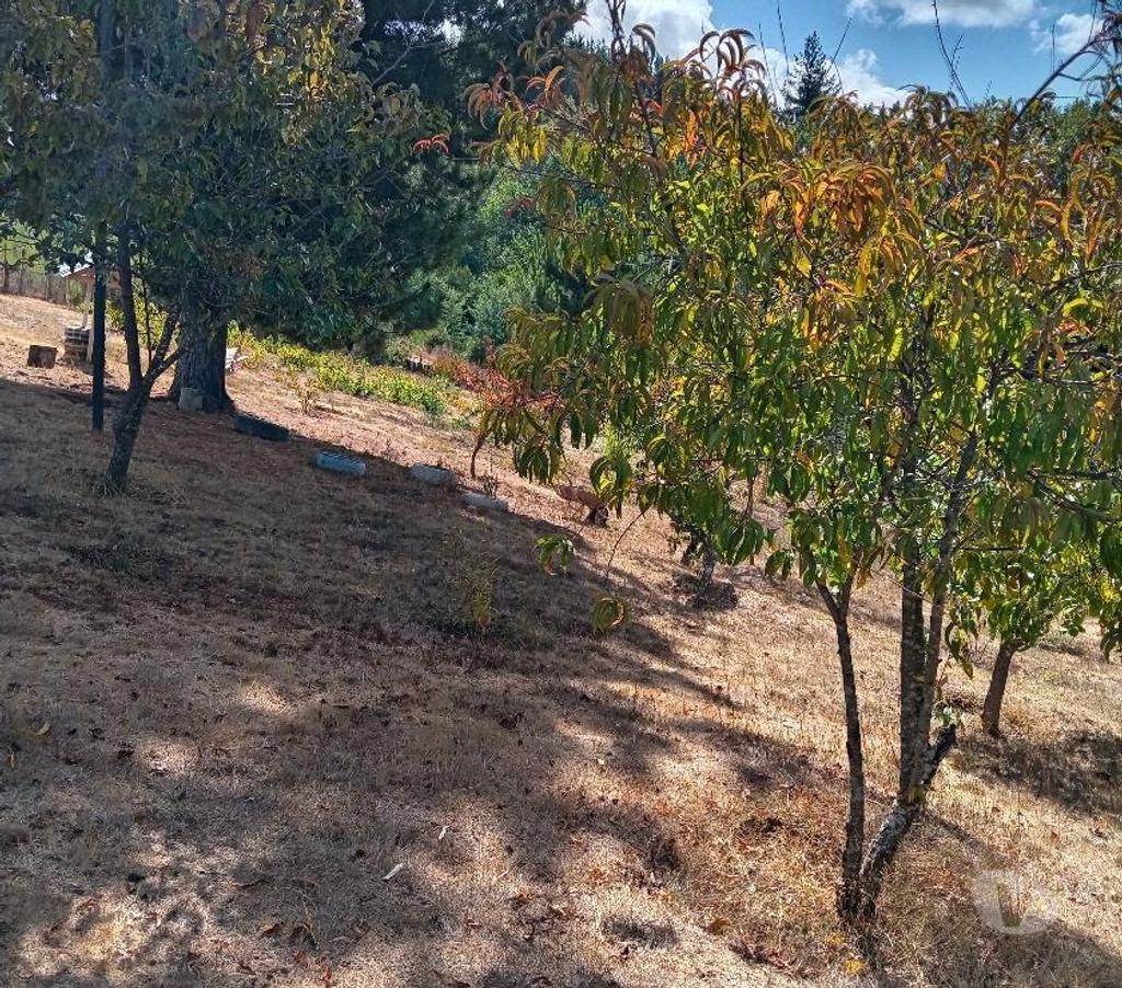 Parcelas en Venta Ñuble Ranquil - Fotos de SE VENDE PRECIOSA PARCELA EN RANQUIL
