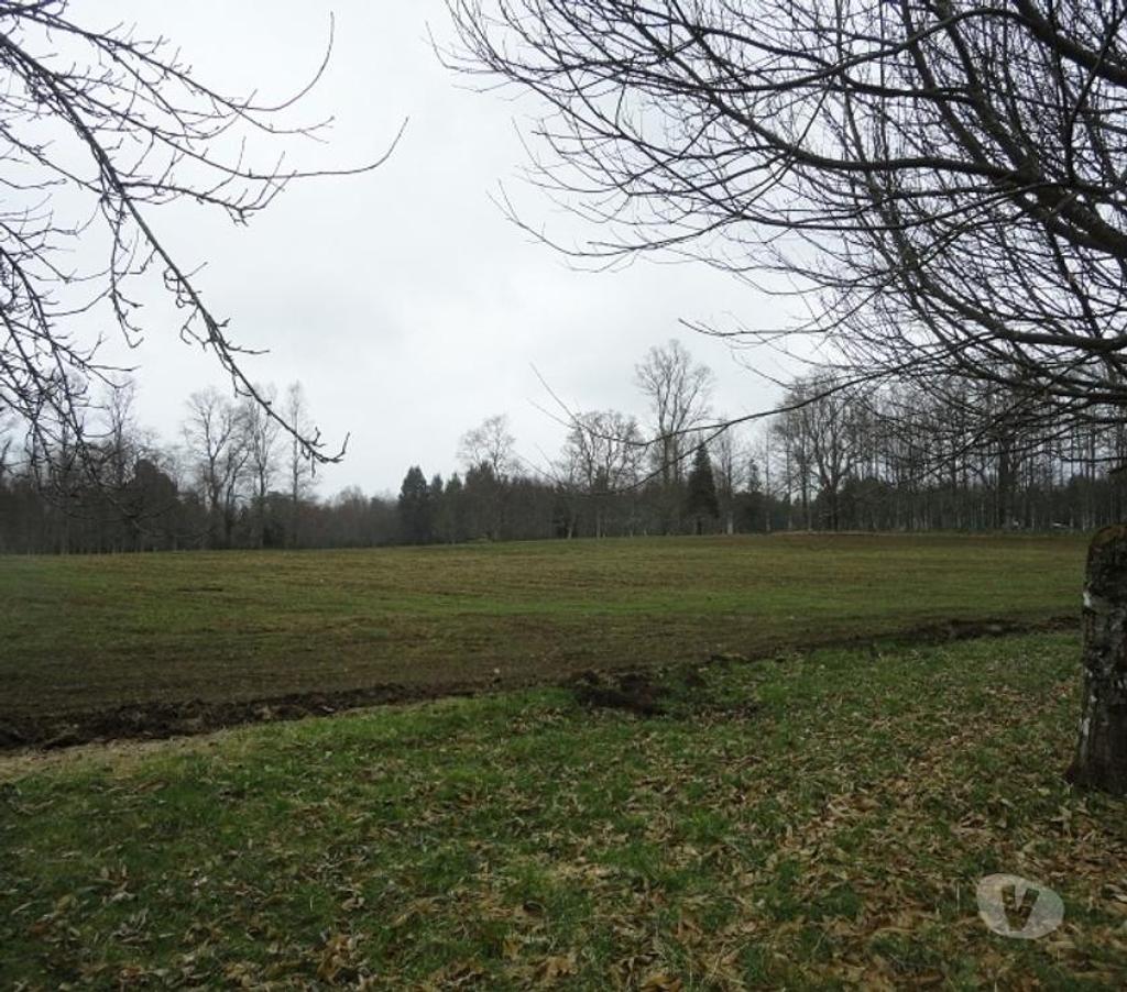 Venta de Haciendas Valdivia Lanco - Fotos de Precioso Campo Ganadero de 158 hás Barato