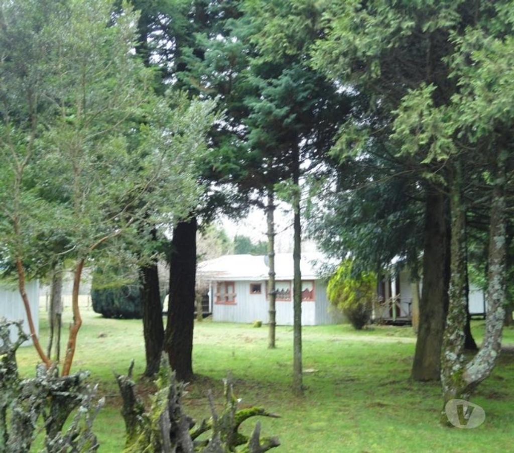 Venta de Haciendas Valdivia Lanco - Fotos de Precioso Campo Ganadero de 158 hás Barato