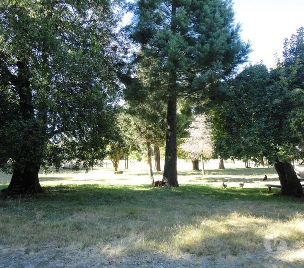 Venta de Haciendas Valdivia Lanco - Fotos de Precioso Campo Ganadero de 158 hás Barato