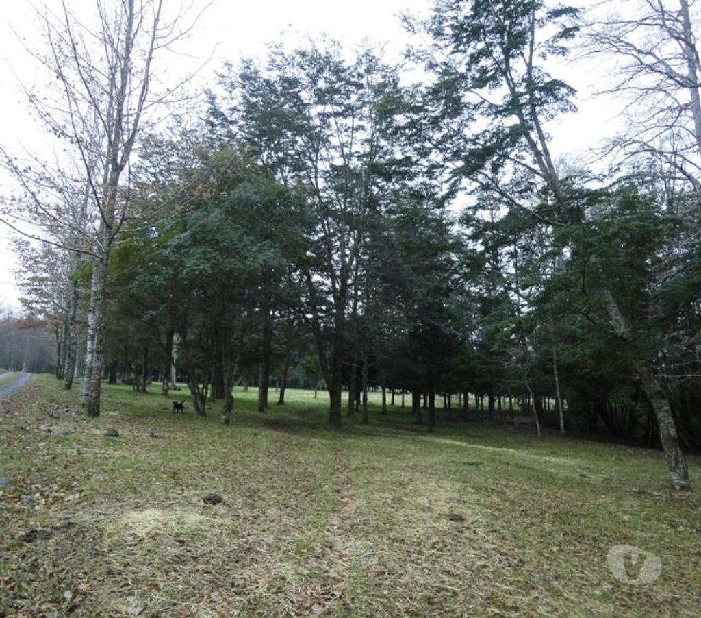 Venta de Haciendas Valdivia Lanco - Fotos de Precioso Campo Ganadero de 158 hás Barato