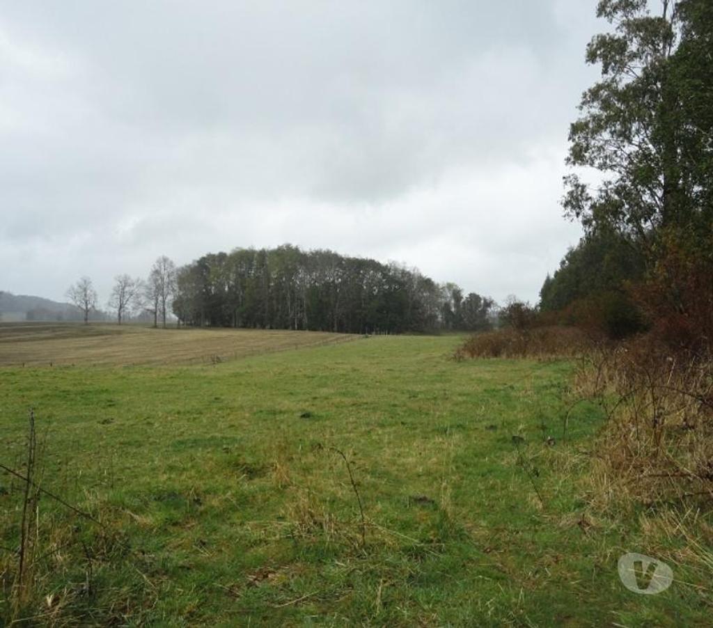 Venta de Haciendas Valdivia Lanco - Fotos de Precioso Campo Ganadero de 158 hás Barato