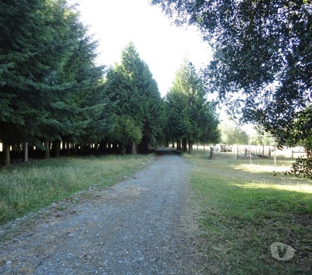 Venta de Haciendas Valdivia Lanco - Fotos de Precioso Campo Ganadero de 158 hás Barato