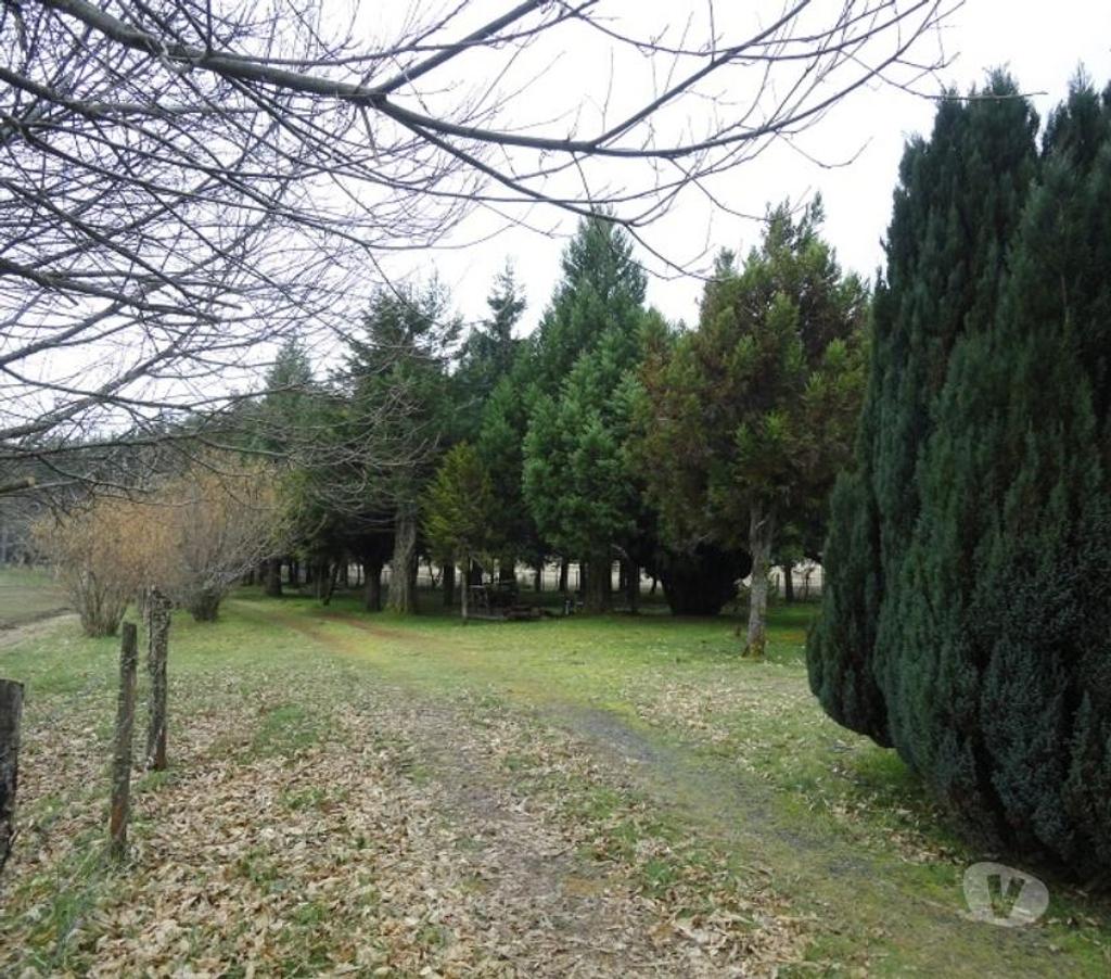 Venta de Haciendas Valdivia Lanco - Fotos de Precioso Campo Ganadero de 158 hás Barato