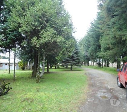 Fundos en Venta Lanco Valdivia - Fotos de Precioso Campo Ganadero de 158 hás Barato