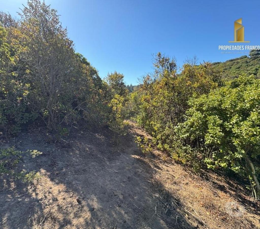 Parcelas en Venta Valparaíso Concón - Fotos de CONCON VENTA TERRENO 2300 M2 ROL Y VISTA MANTAGUA