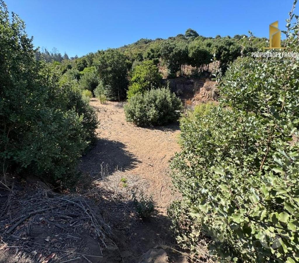 Parcelas en Venta Valparaíso Concón - Fotos de CONCON VENTA TERRENO 2300 M2 ROL Y VISTA MANTAGUA