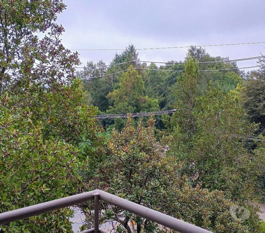 Arriendos Cautín Pucón - Fotos de Departamento volcán