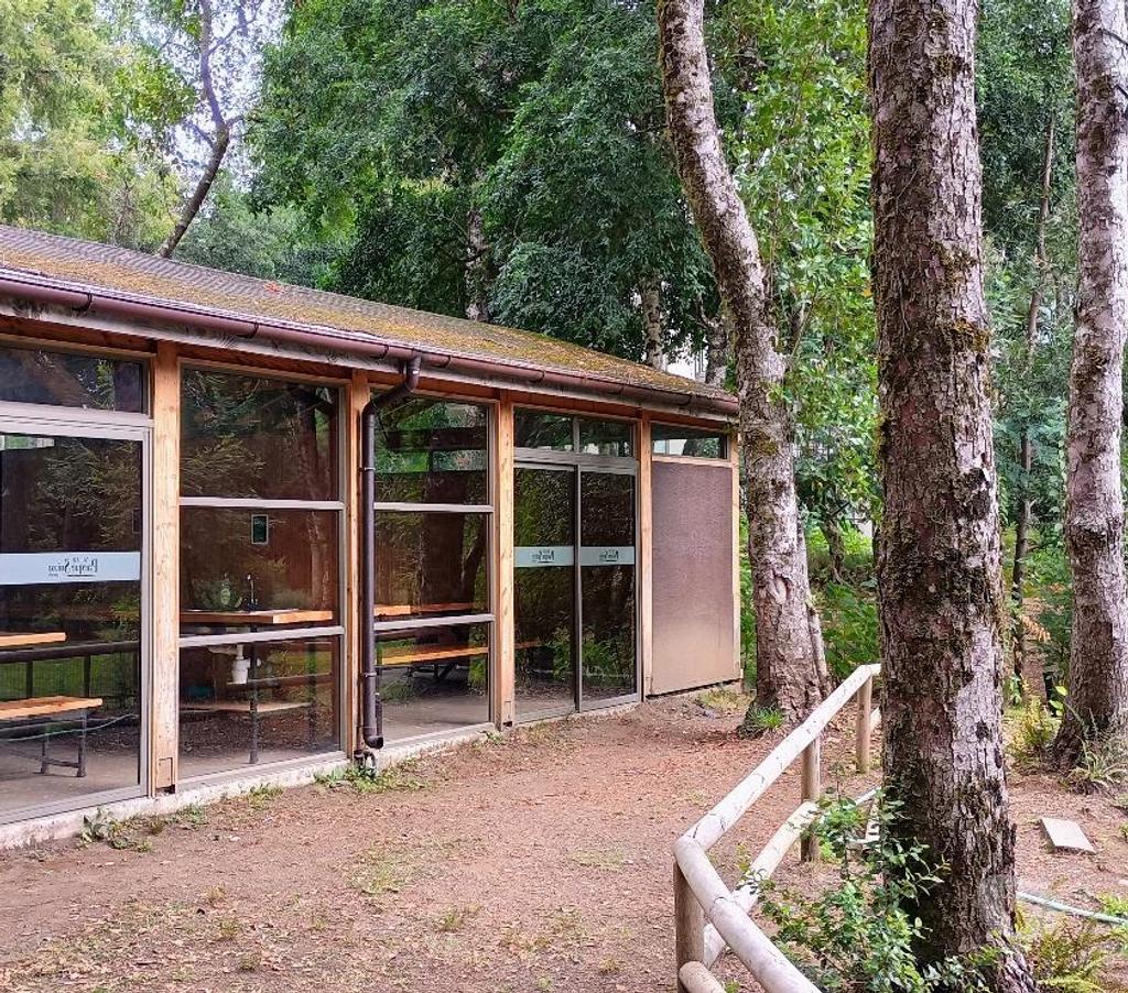Arriendos Cautín Pucón - Fotos de Departamento volcán