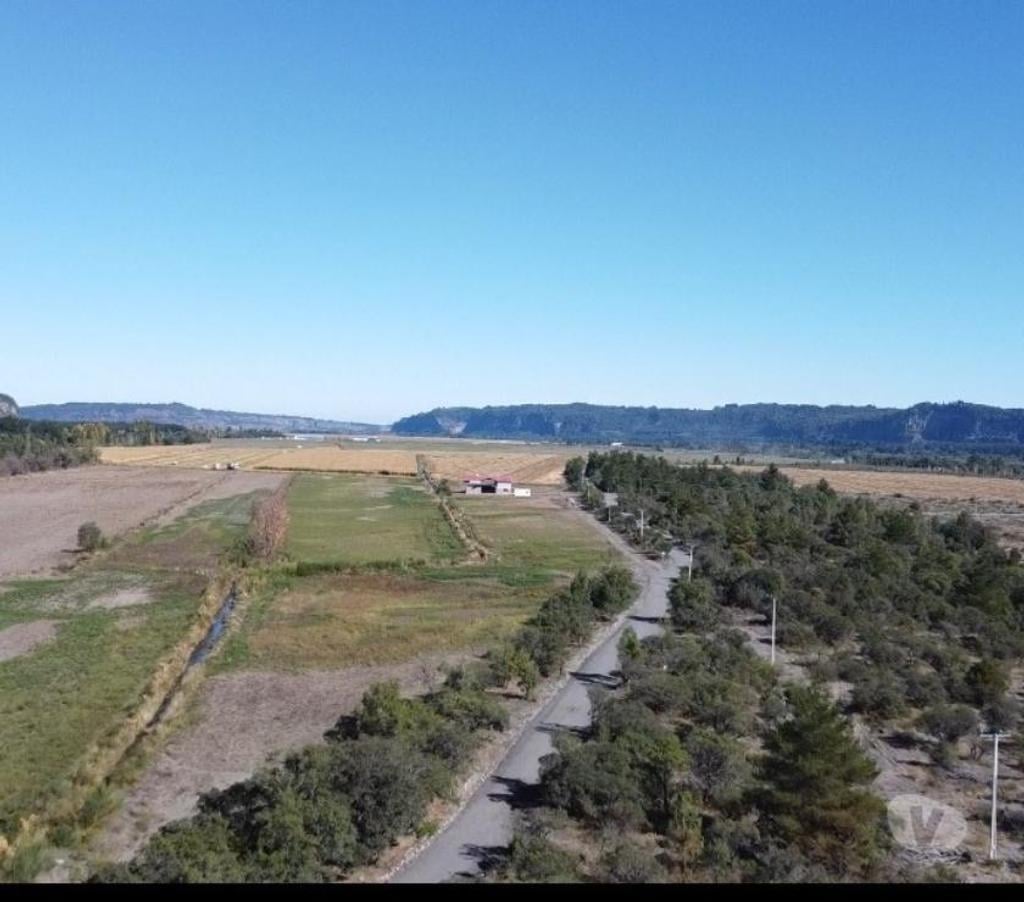 Venta de Haciendas Bío-Bío Los Ángeles - Fotos de Campo Apto Ganadería de 1400 hás Antuco -Los Angeles