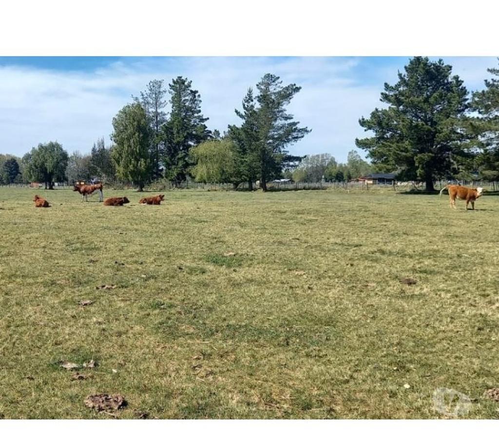 Parcelas en Venta Valdivia Valdivia - Fotos de VENDO HERMOSAS PARCELAS CERCA DE VALDIVIA