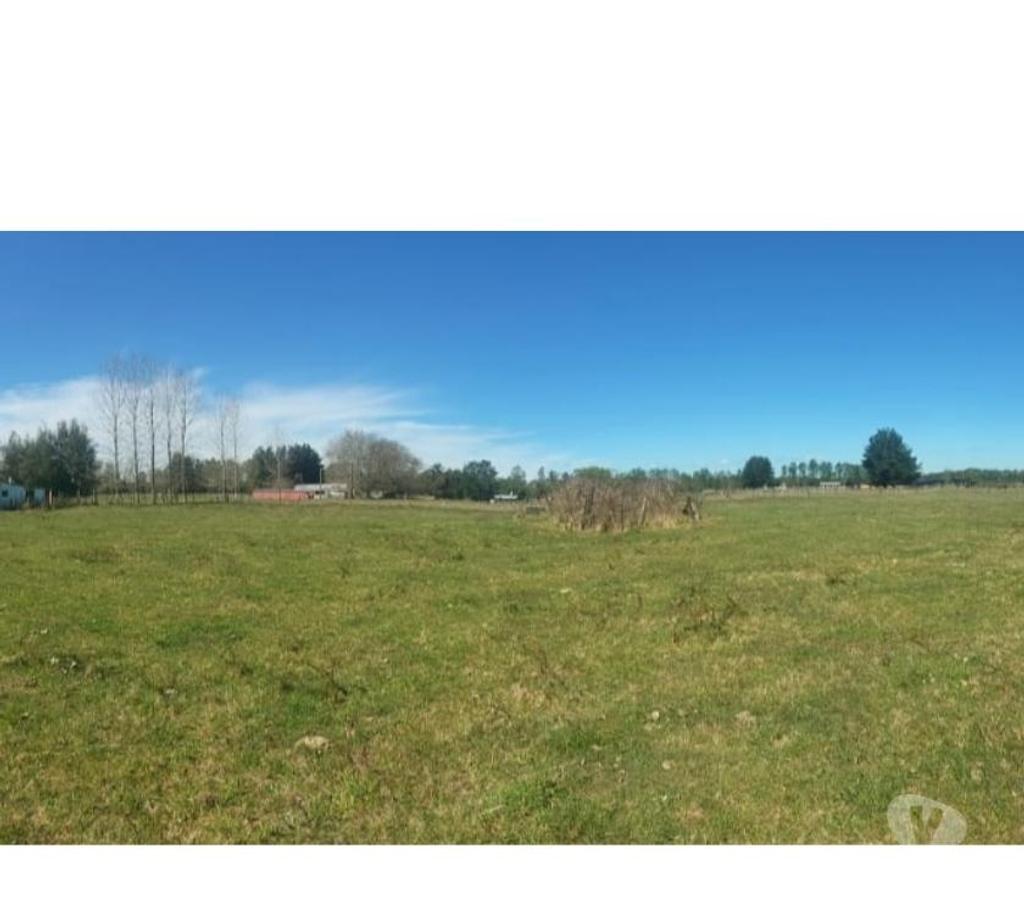 Parcelas en Venta Valdivia Valdivia - Fotos de VENDO HERMOSAS PARCELAS CERCA DE VALDIVIA