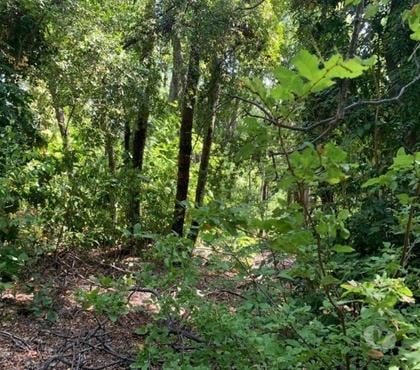 Terrenos en Venta Maule Talca - Fotos de I Venta terreno 5000mts Vilches río