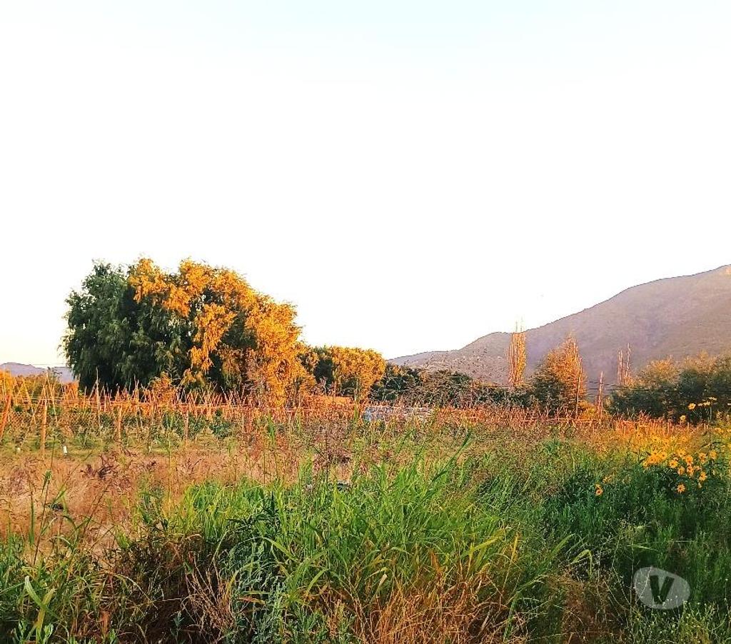 Venta de Haciendas Cachapoal San Vicente - Fotos de MARAVILLOSA PARCELA CON 2 VIVIENDAS NUEVAS EN EL TAMBO