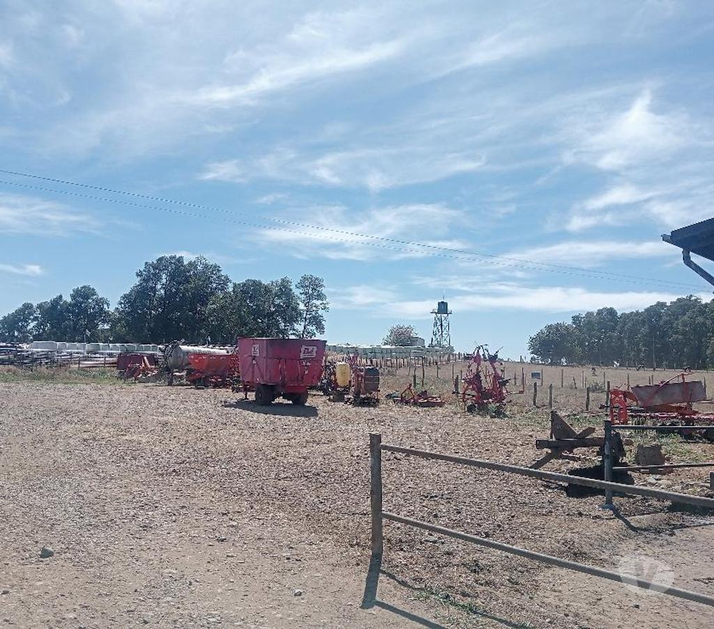 Venta de Haciendas Valdivia Paillaco - Fotos de Hermoso Campo Lechero de 279 hás en Paillaco-Valdivia