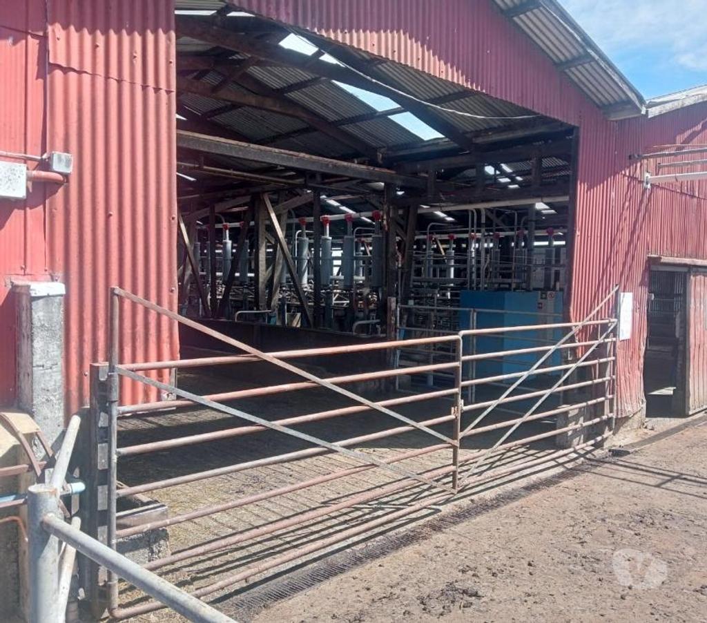 Venta de Haciendas Valdivia Paillaco - Fotos de Hermoso Campo Lechero de 279 hás en Paillaco-Valdivia