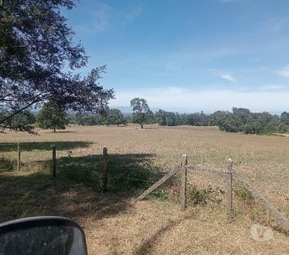 Venta de Haciendas Paillaco Valdivia - Fotos de Hermoso Campo Lechero de 279 hás en Paillaco-Valdivia